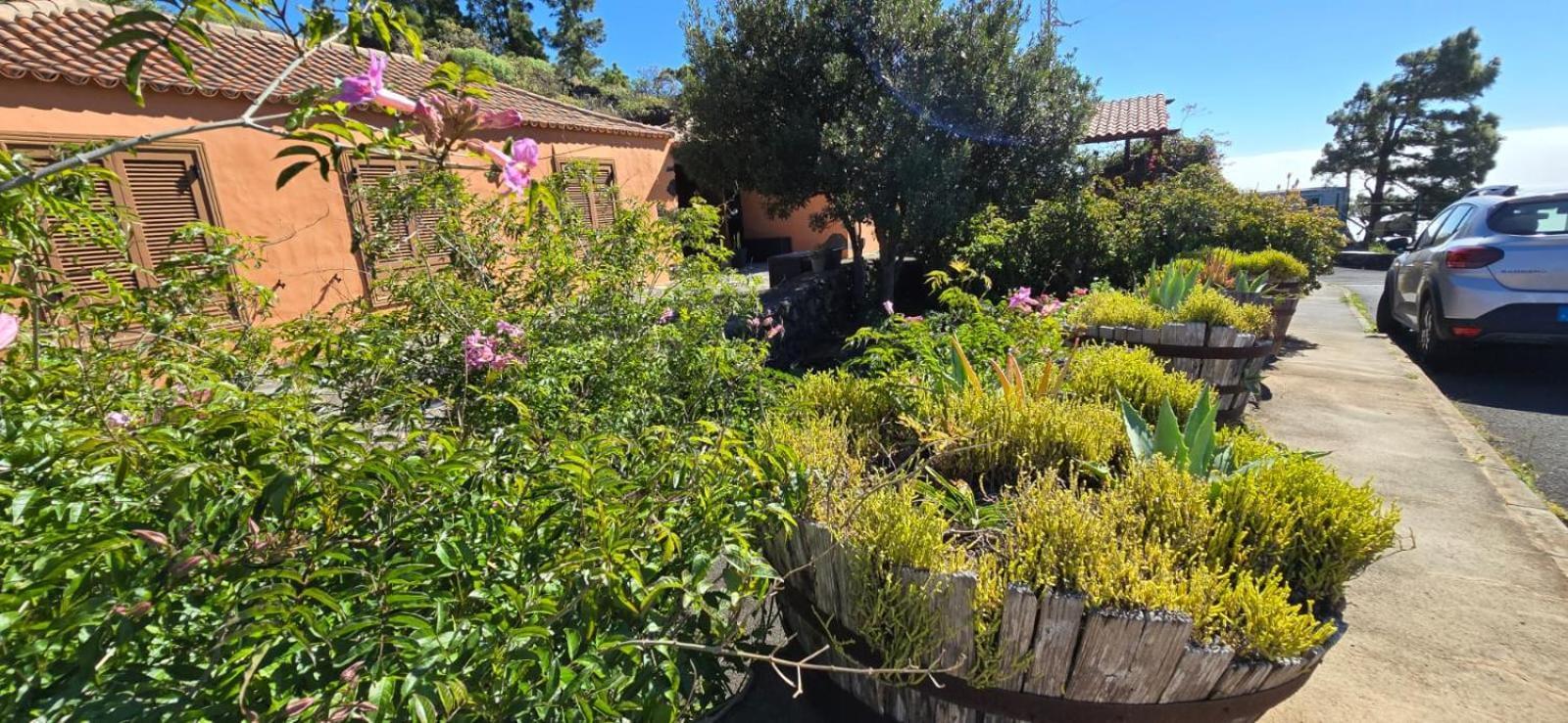 Vivienda Vacacional El Lagar, Bodega A フエンカリエンテ・デ・ラ・パルマ エクステリア 写真