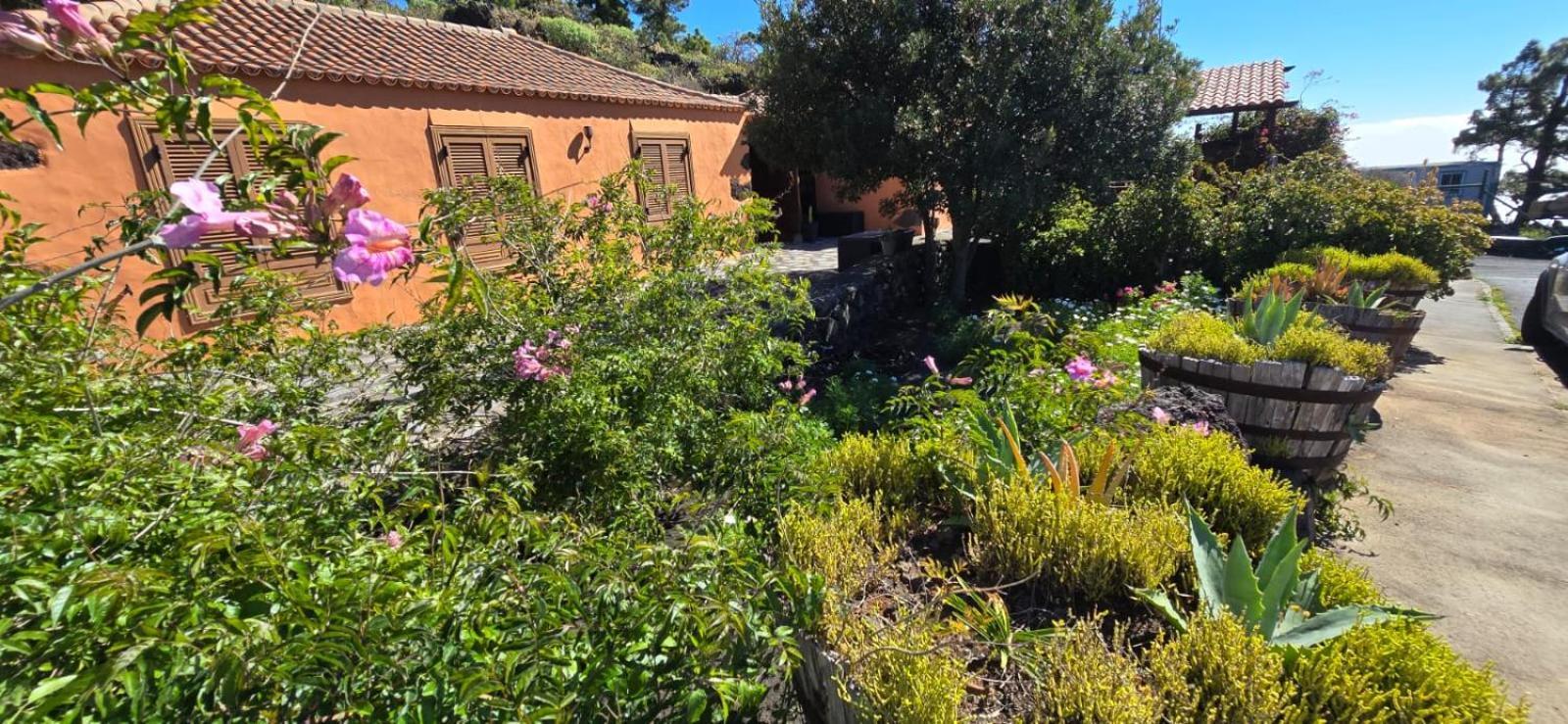 Vivienda Vacacional El Lagar, Bodega A フエンカリエンテ・デ・ラ・パルマ エクステリア 写真